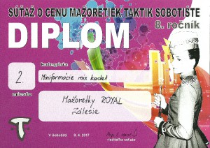 diplom-2-mini-mix-kadet.jpg